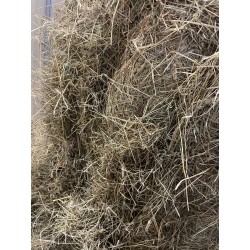 Timotei Høy 4KG